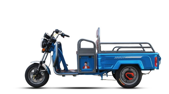 E Rickshaw Loader Good Carrying Delivery Cargo Truck Motorcycle 800W/1000W Tricycle Electric Mobility Trike with Big Capacity