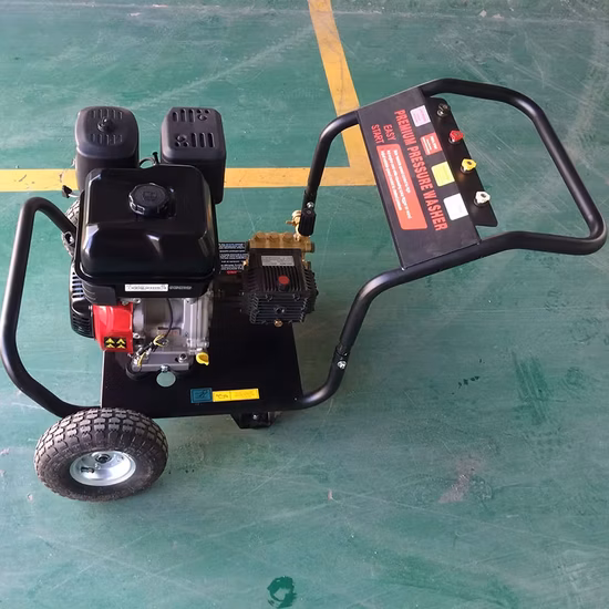 Компактный очиститель высокого давления Werkin.